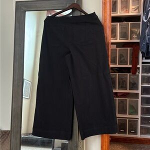 Spanx wide leg, black pull on pants. Cropped length